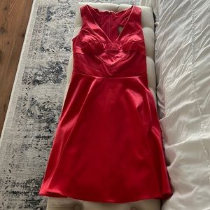 Adrianna Pappell Red Dress